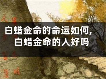 白蜡金命的命运如何,白蜡金命的人好吗