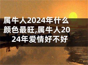 属牛人2024年什么颜色最旺,属牛人2024年爱情好不好