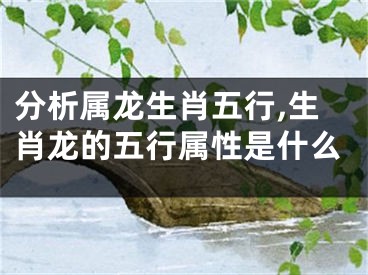 分析属龙生肖五行,生肖龙的五行属性是什么