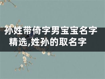 孙姓带倚字男宝宝名字精选,姓孙的取名字