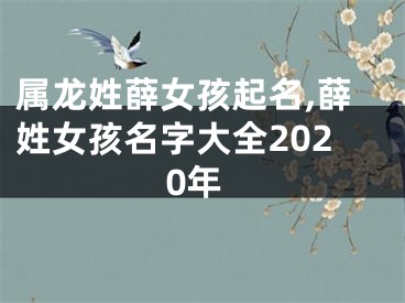 属龙姓薛女孩起名,薛姓女孩名字大全2020年