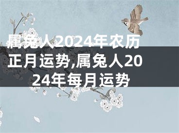 属兔人2024年农历正月运势,属兔人2024年每月运势