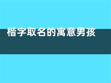  楷字取名的寓意男孩 