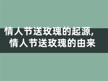 情人节送玫瑰的起源,情人节送玫瑰的由来