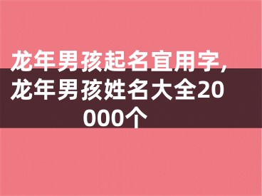 龙年男孩起名宜用字,龙年男孩姓名大全20000个