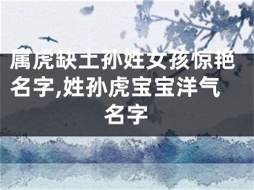 属虎缺土孙姓女孩惊艳名字,姓孙虎宝宝洋气名字