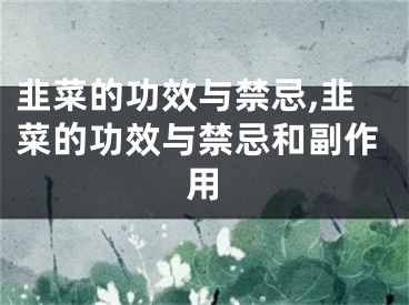 韭菜的功效与禁忌,韭菜的功效与禁忌和副作用