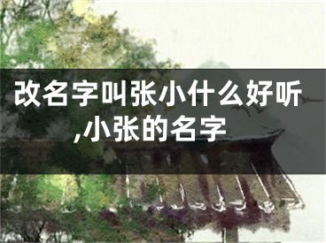 改名字叫张小什么好听,小张的名字