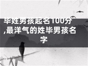 毕姓男孩起名100分,最洋气的姓毕男孩名字