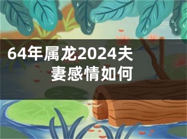 64年属龙2024夫妻感情如何