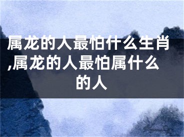 属龙的人最怕什么生肖,属龙的人最怕属什么的人