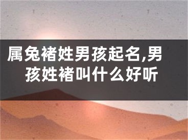 属兔褚姓男孩起名,男孩姓褚叫什么好听