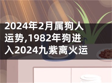 2024年2月属狗人运势,1982年狗进入2024九紫离火运