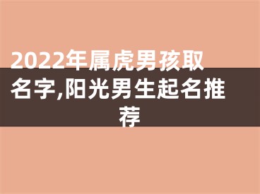 2022年属虎男孩取名字,阳光男生起名推荐