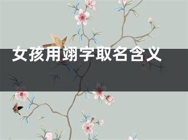  女孩用翊字取名含义 