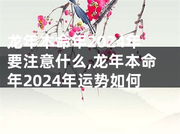 龙年本命年2024年要注意什么,龙年本命年2024年运势如何