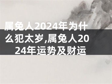 属兔人2024年为什么犯太岁,属兔人2024年运势及财运