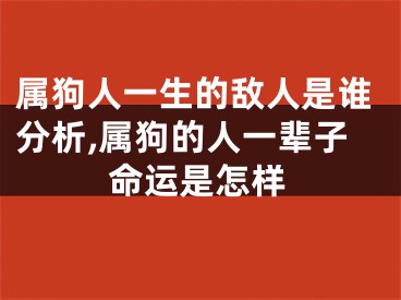 属狗人一生的敌人是谁分析,属狗的人一辈子命运是怎样