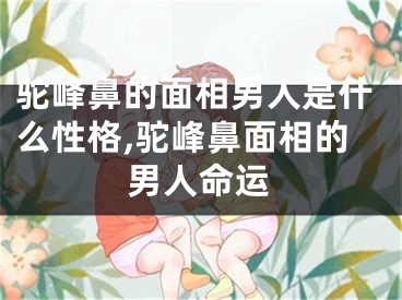 驼峰鼻的面相男人是什么性格,驼峰鼻面相的男人命运