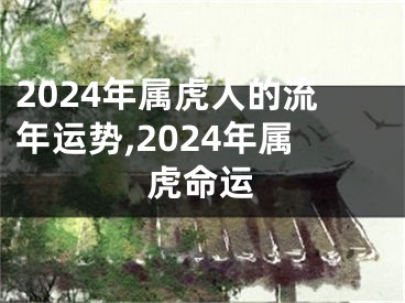 2024年属虎人的流年运势,2024年属虎命运