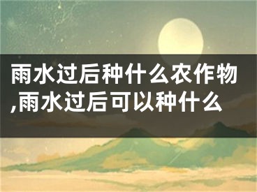 雨水过后种什么农作物,雨水过后可以种什么