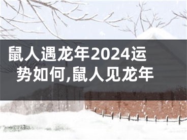 鼠人遇龙年2024运势如何,鼠人见龙年