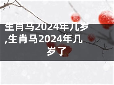 生肖马2024年几岁,生肖马2024年几岁了