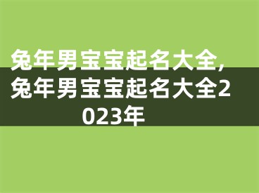 兔年男宝宝起名大全,兔年男宝宝起名大全2023年