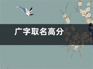  广字取名高分 