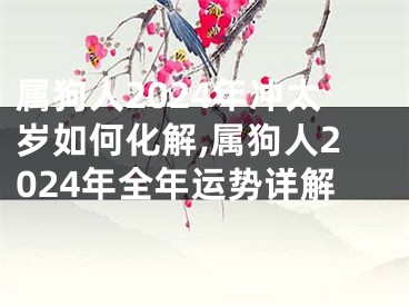 属狗人2024年冲太岁如何化解,属狗人2024年全年运势详解