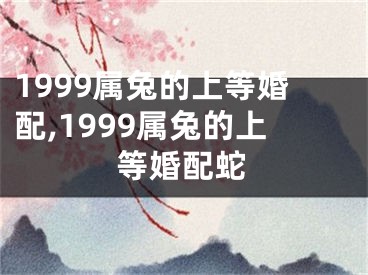 1999属兔的上等婚配,1999属兔的上等婚配蛇