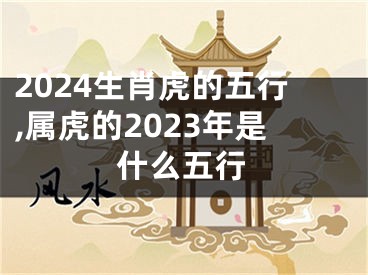 2024生肖虎的五行,属虎的2023年是什么五行