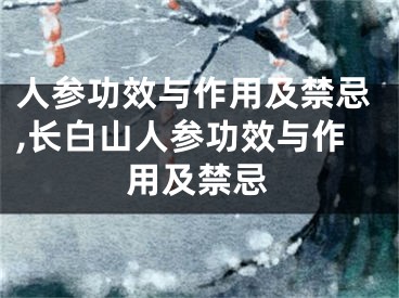 人参功效与作用及禁忌,长白山人参功效与作用及禁忌