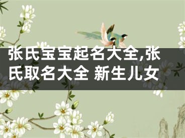 张氏宝宝起名大全,张氏取名大全 新生儿女