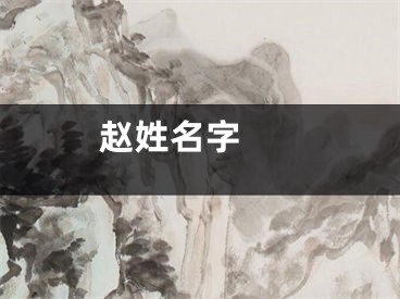  赵姓名字 