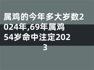 属鸡的今年多大岁数2024年,69年属鸡54岁命中注定2023