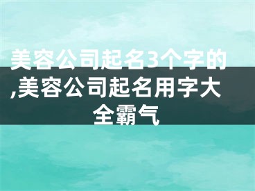 美容公司起名3个字的,美容公司起名用字大全霸气