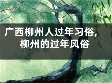 广西柳州人过年习俗,柳州的过年风俗