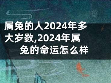 属兔的人2024年多大岁数,2024年属兔的命运怎么样