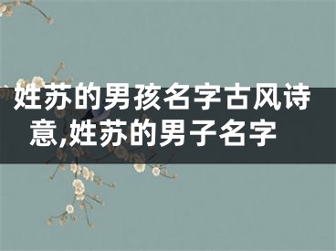 姓苏的男孩名字古风诗意,姓苏的男子名字