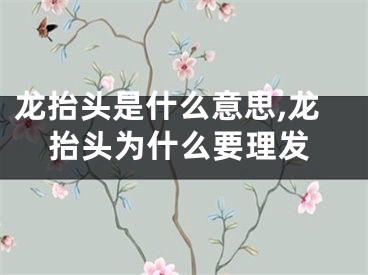 龙抬头是什么意思,龙抬头为什么要理发