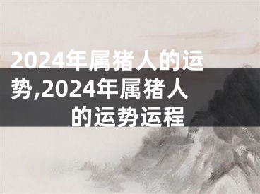 2024年属猪人的运势,2024年属猪人的运势运程