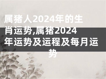 属猪人2024年的生肖运势,属猪2024年运势及运程及每月运势