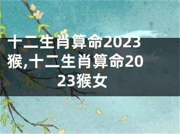 十二生肖算命2023猴,十二生肖算命2023猴女