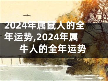 2024年属鼠人的全年运势,2024年属牛人的全年运势