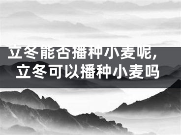 立冬能否播种小麦呢,立冬可以播种小麦吗