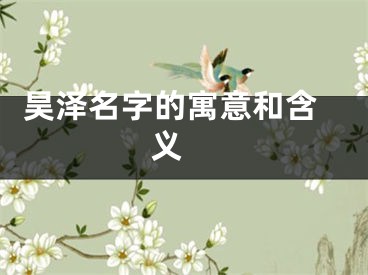  昊泽名字的寓意和含义 