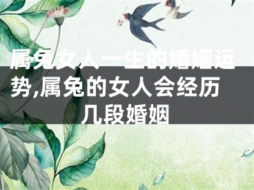 属兔女人一生的婚姻运势,属兔的女人会经历几段婚姻