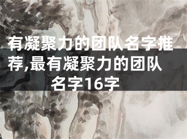 有凝聚力的团队名字推荐,最有凝聚力的团队名字16字