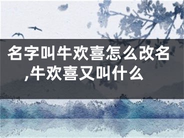 名字叫牛欢喜怎么改名,牛欢喜又叫什么